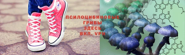 крисы Алексеевка